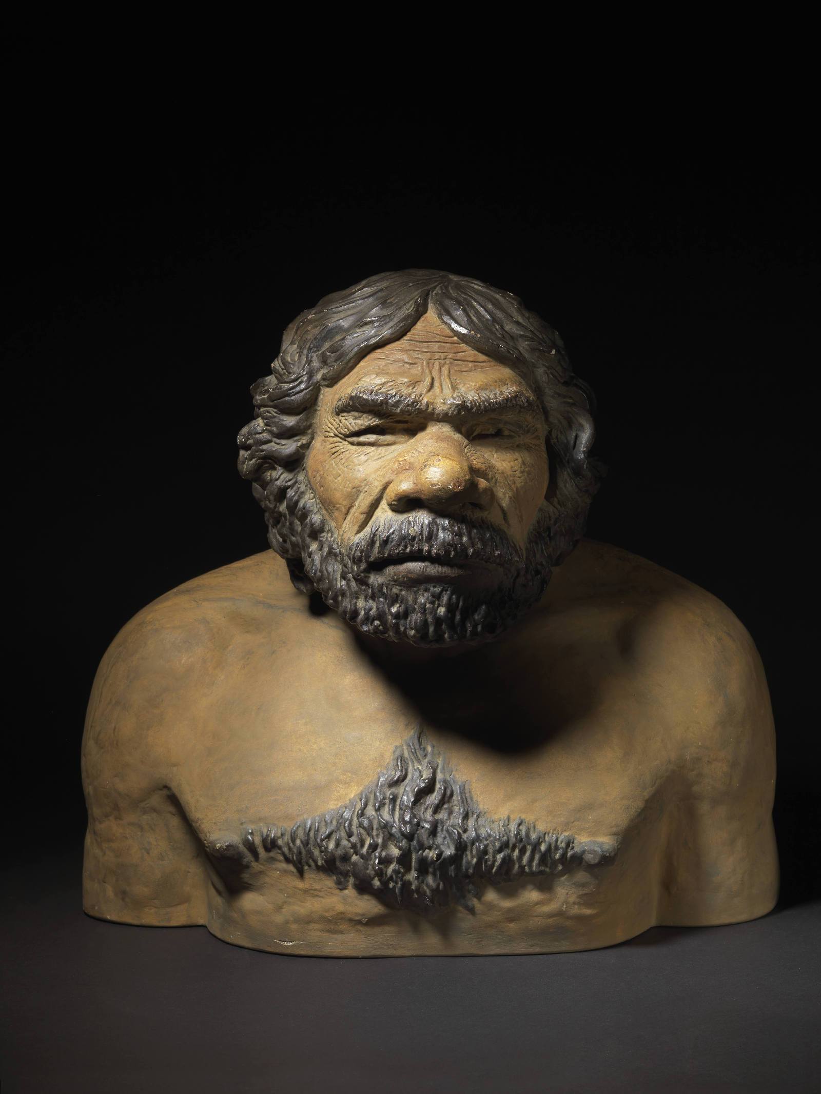 Buste de Neandertal